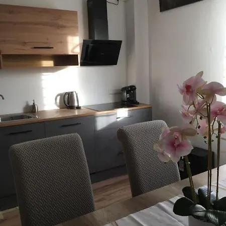 Wunderschoene Altbauwohnung شقة